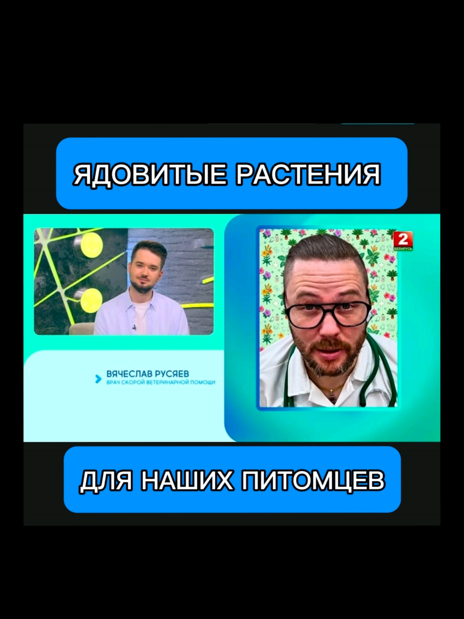 @slavrus_vet