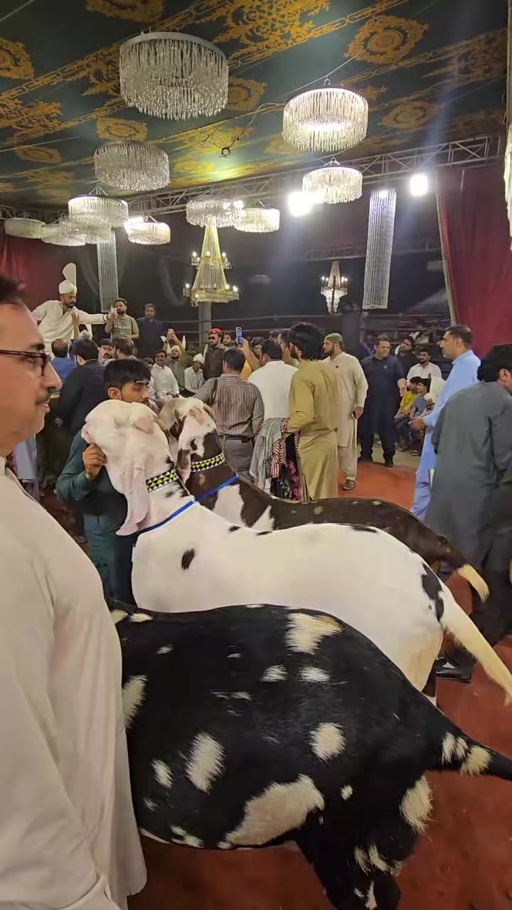 @Waqas Rohi wala