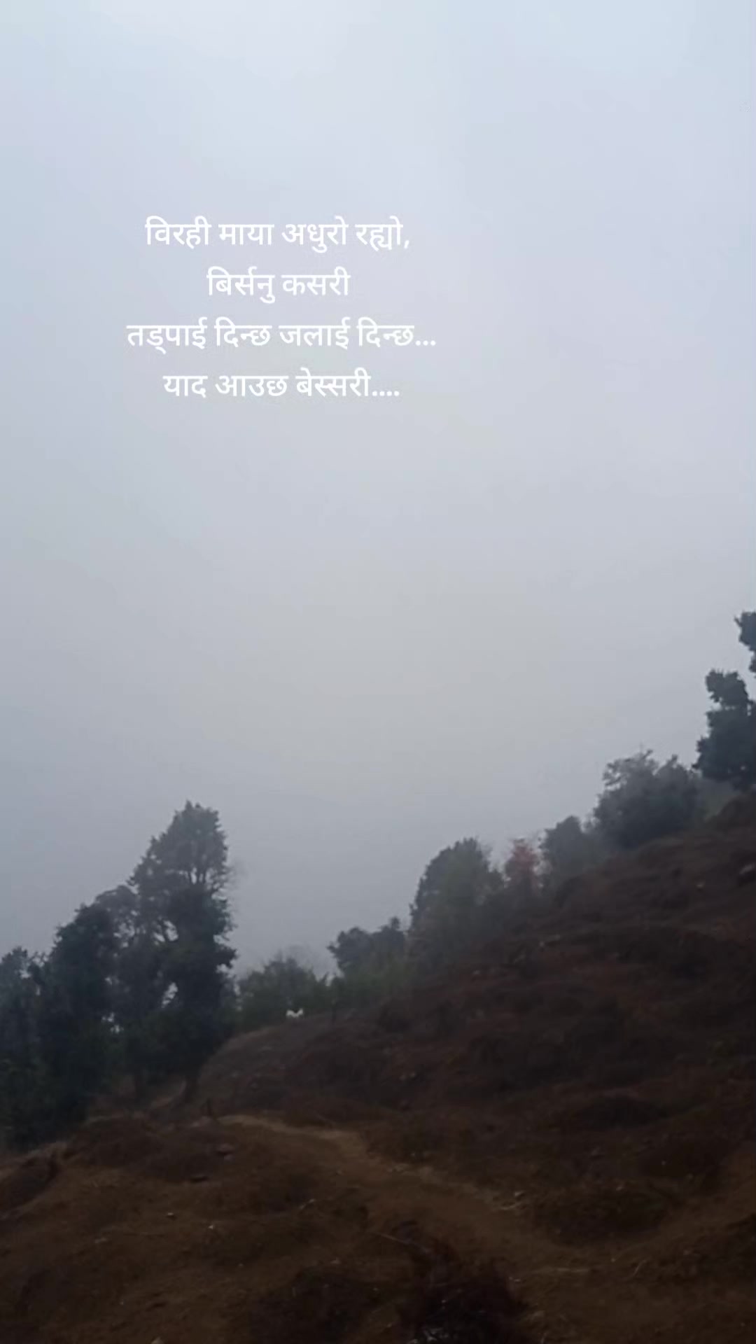 @Dhan Kumari Rai
