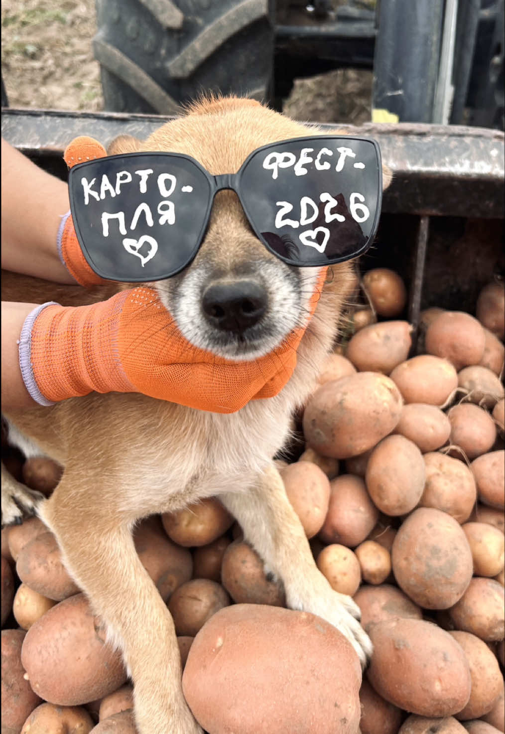 @Марія Чорна