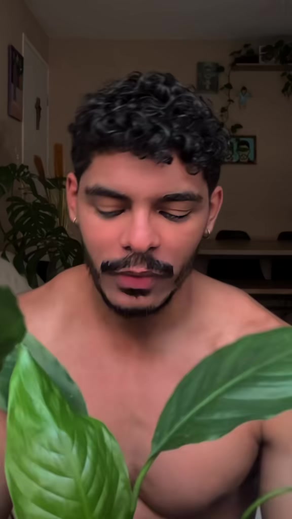 @Florêncio Bruno