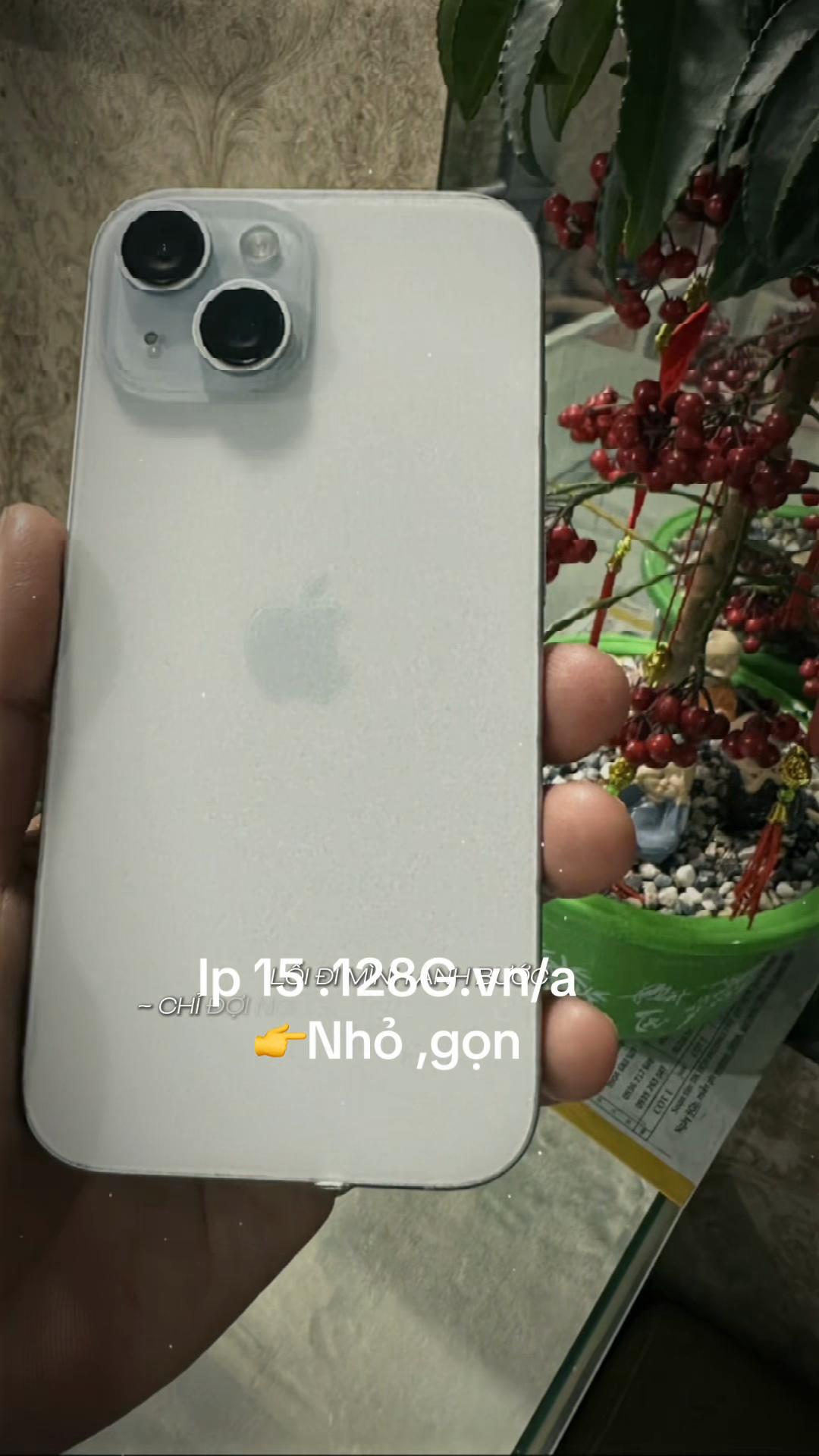 @Quanguyen Apple