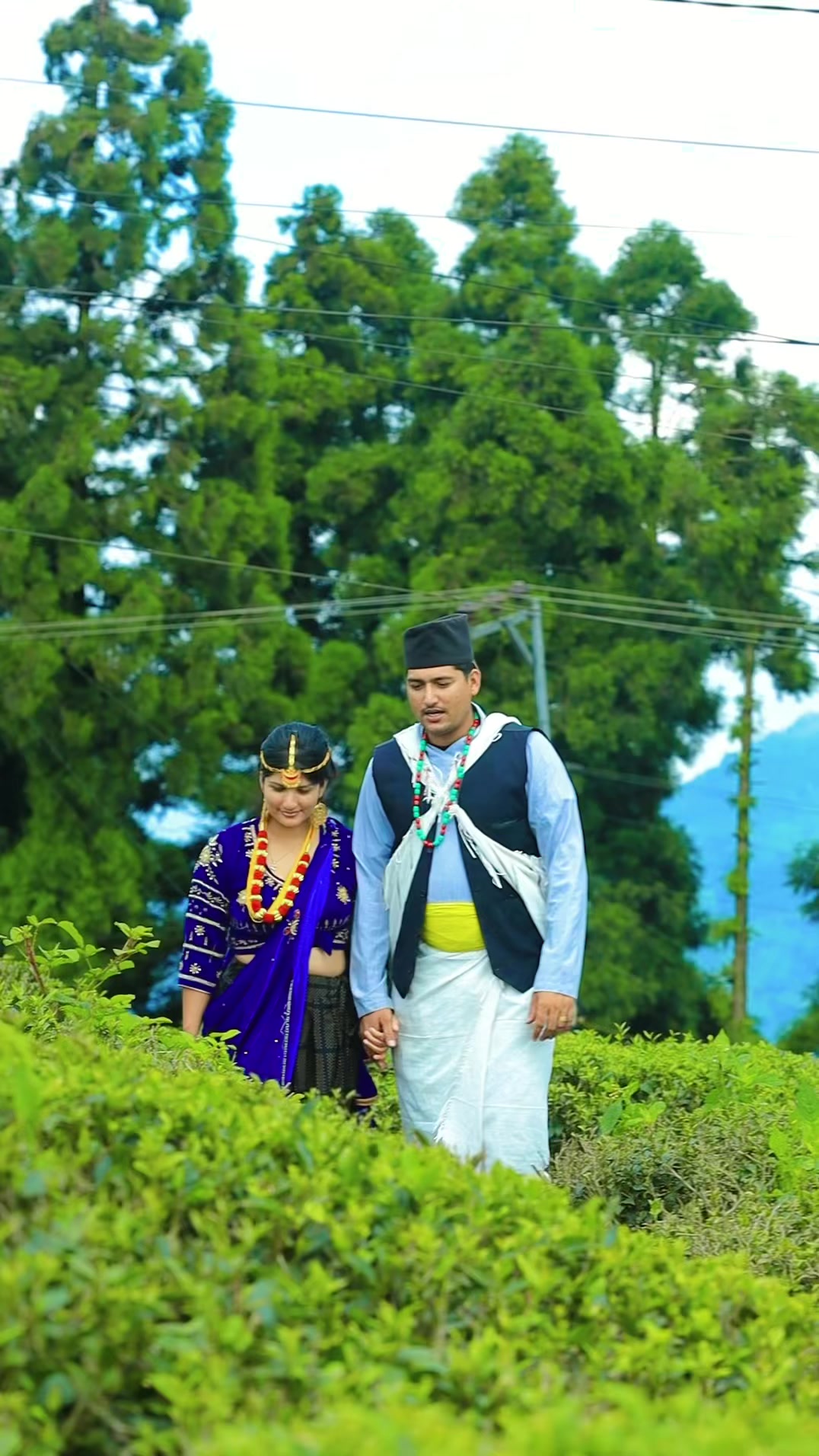 @krishna_tarkariwala