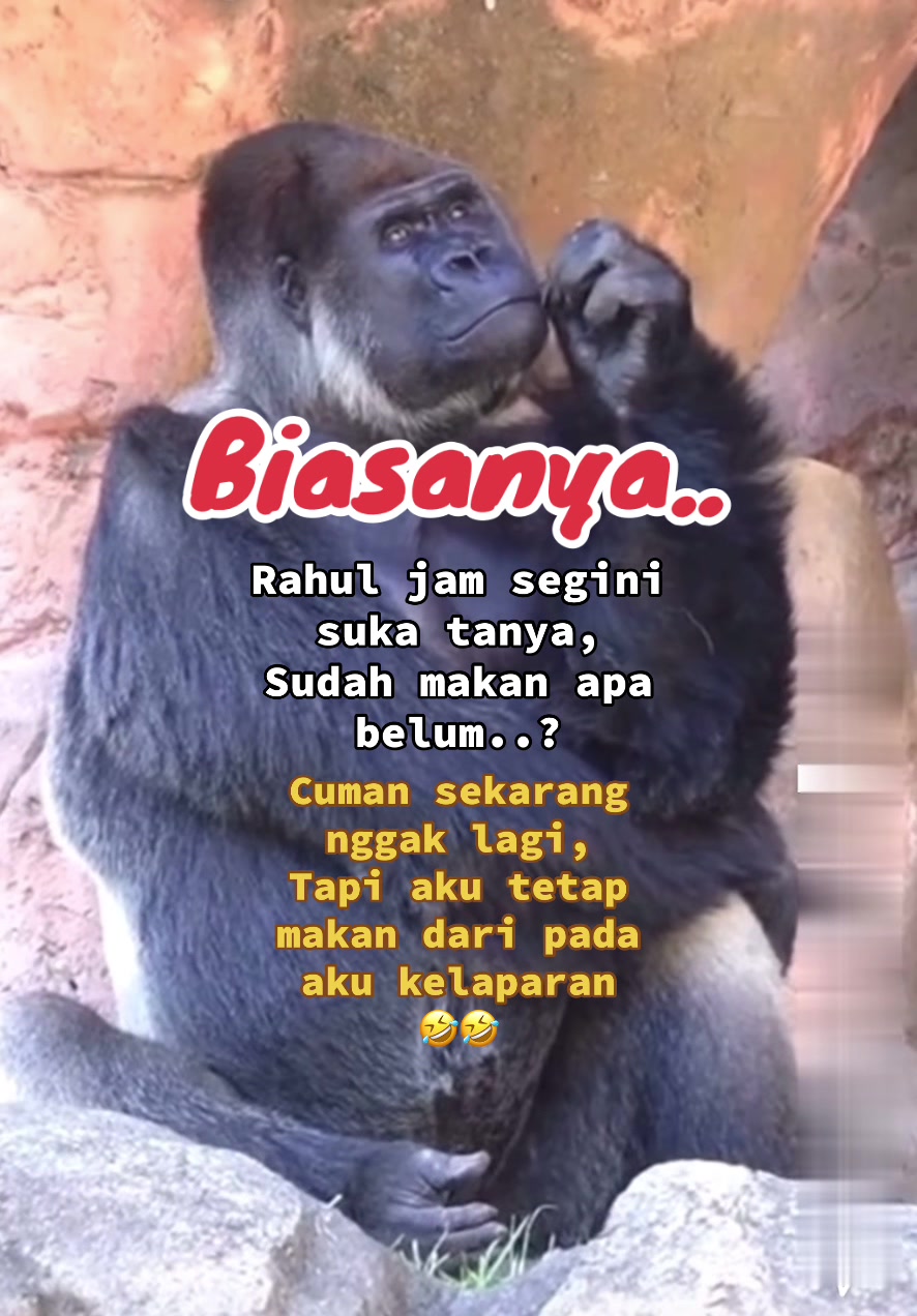 @Rose13