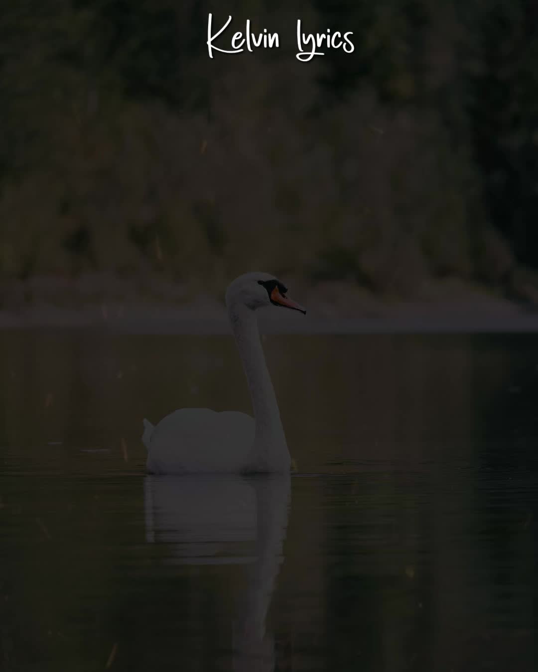 @𝐊𝐈𝐍𝐆 𝐎𝐅 𝐋𝐘𝐑𝐈𝐂𝐒