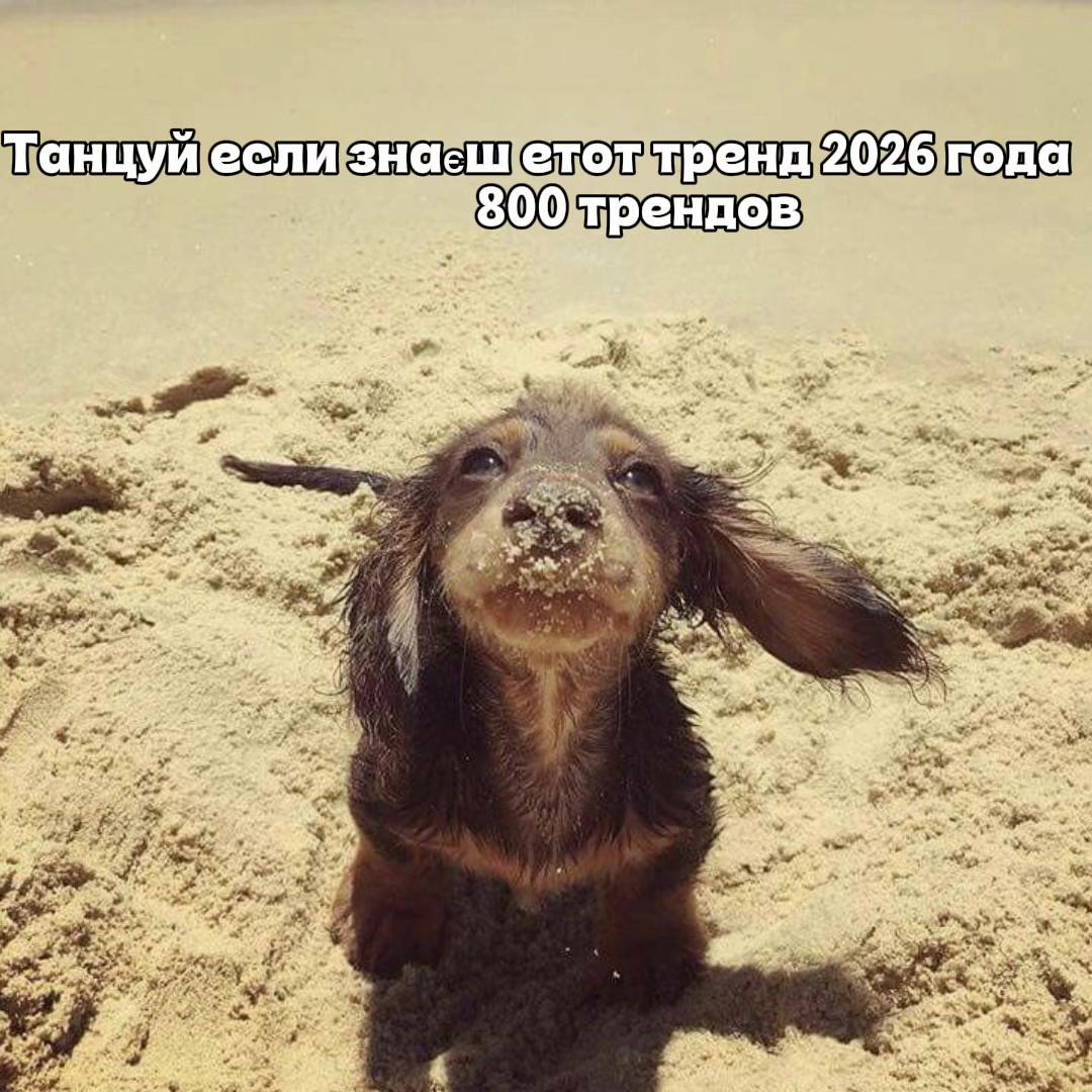 @Танцюй як що знаєш цей тренд