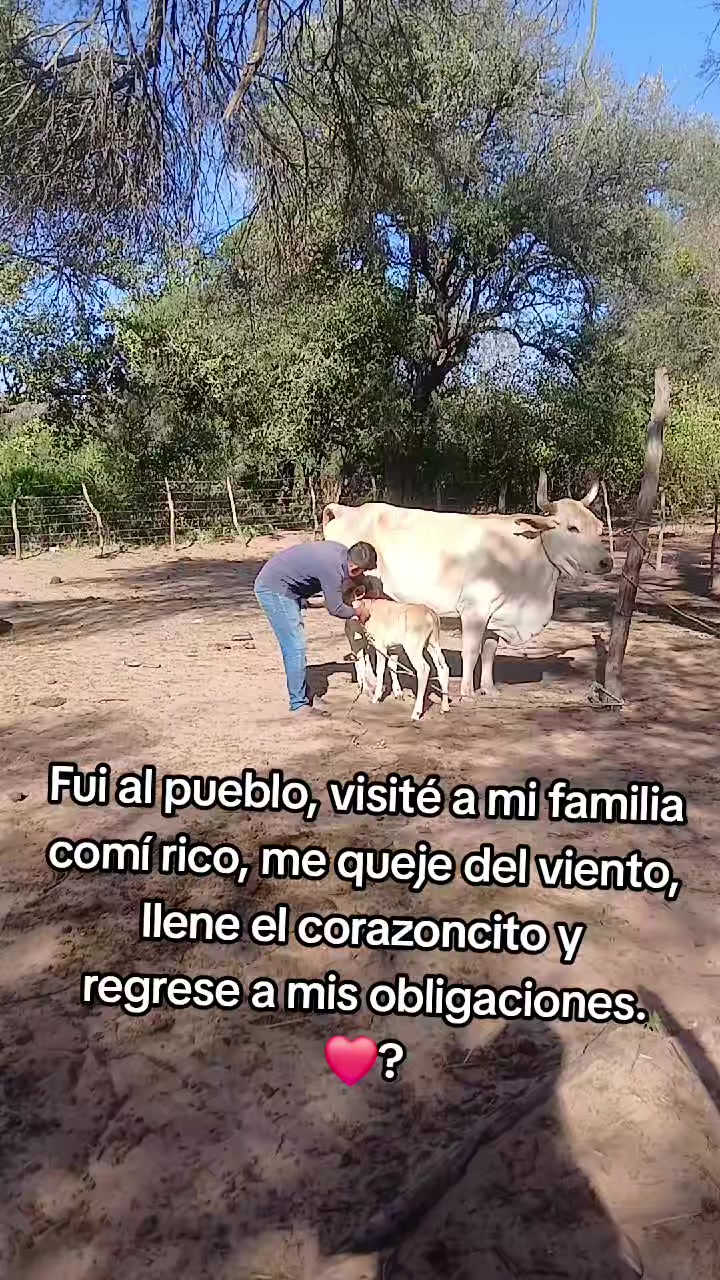 @LA ISOSEÑITA ALI✨️❤️🩹