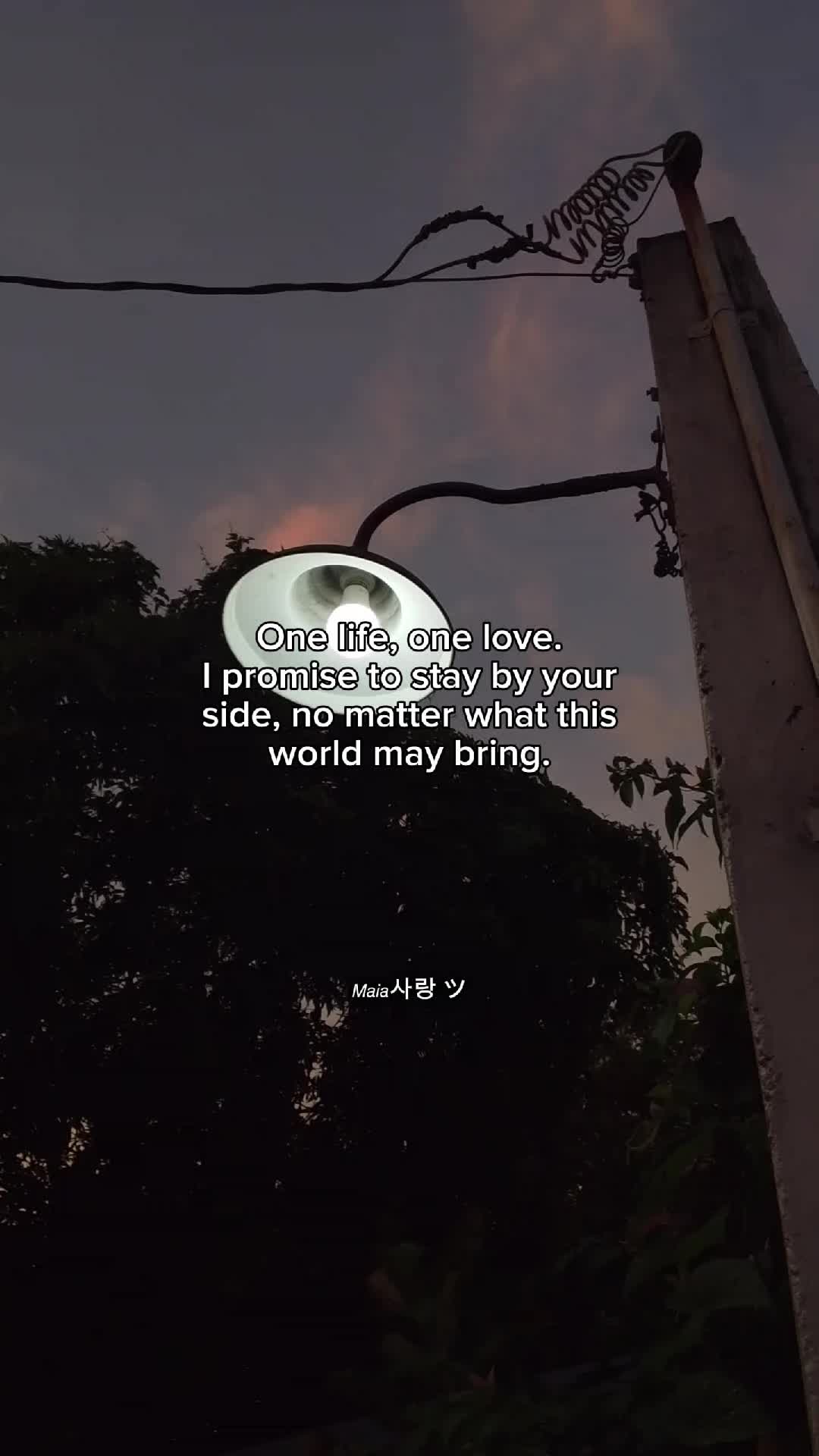 @𝘔𝘢𝘪𝘢사랑 ツ