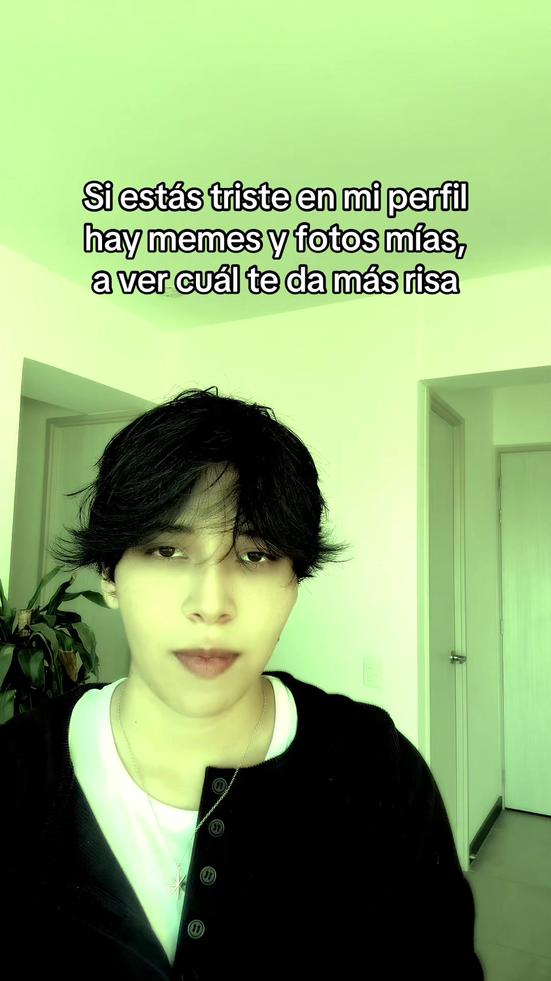 @shiropapi