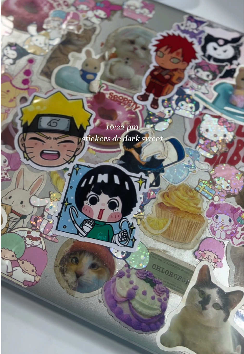@𝒸𝓇𝓎𝒷𝓊𝓃𝓃𝓎 ᨳ𐔌՞҂ ˕ ֊՞𐦯ᜊ