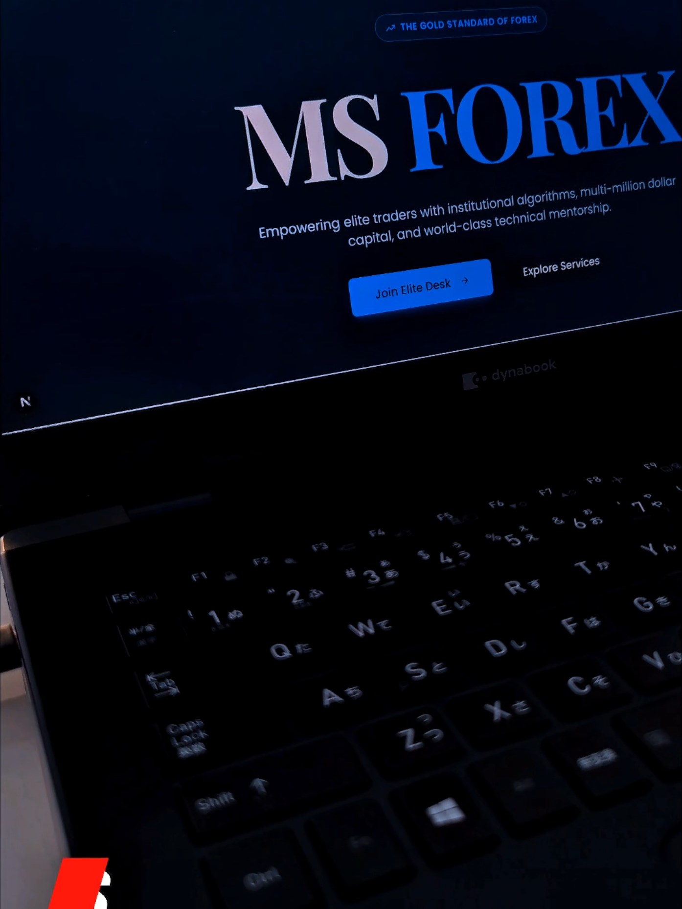@MS__FOREX💲💸