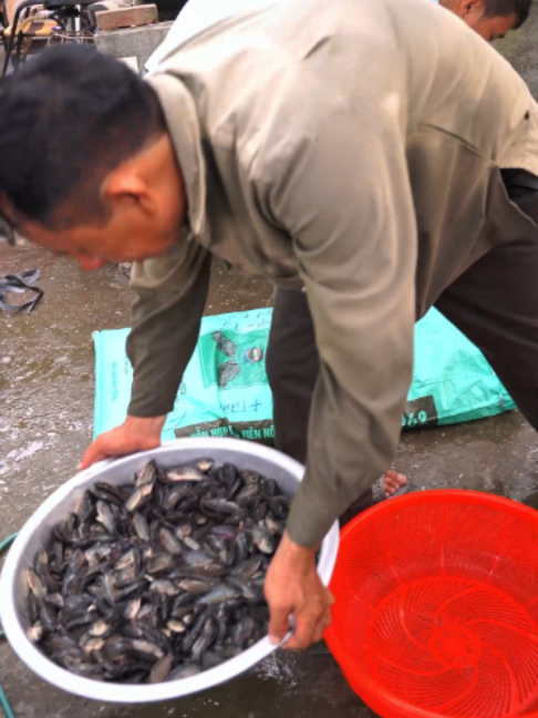 @Trại Cá Giống Quang Lâm