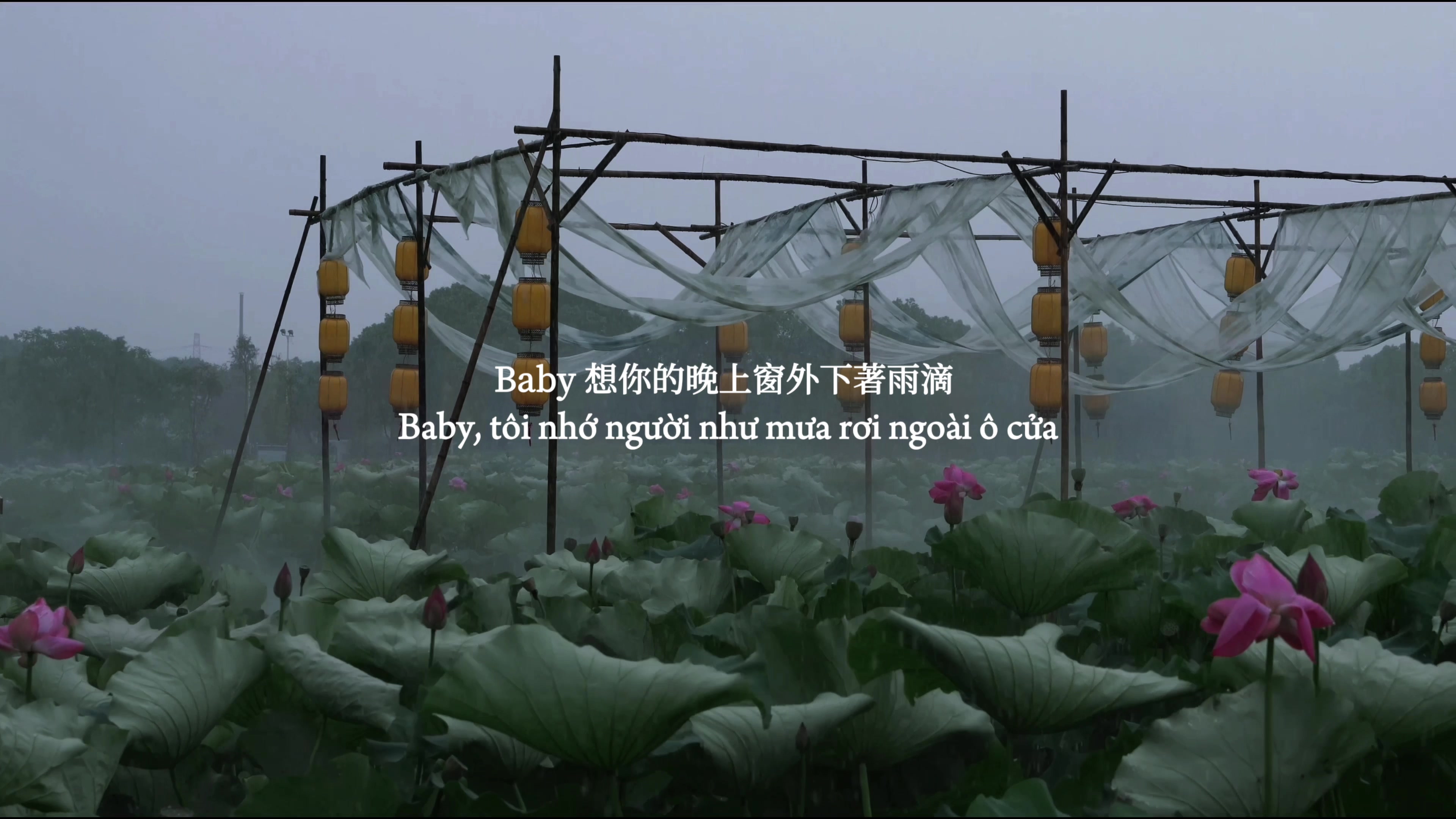 @𝒐 𝒅𝒂𝒚 𝒄𝒐 𝒏𝒉𝒂𝒄
