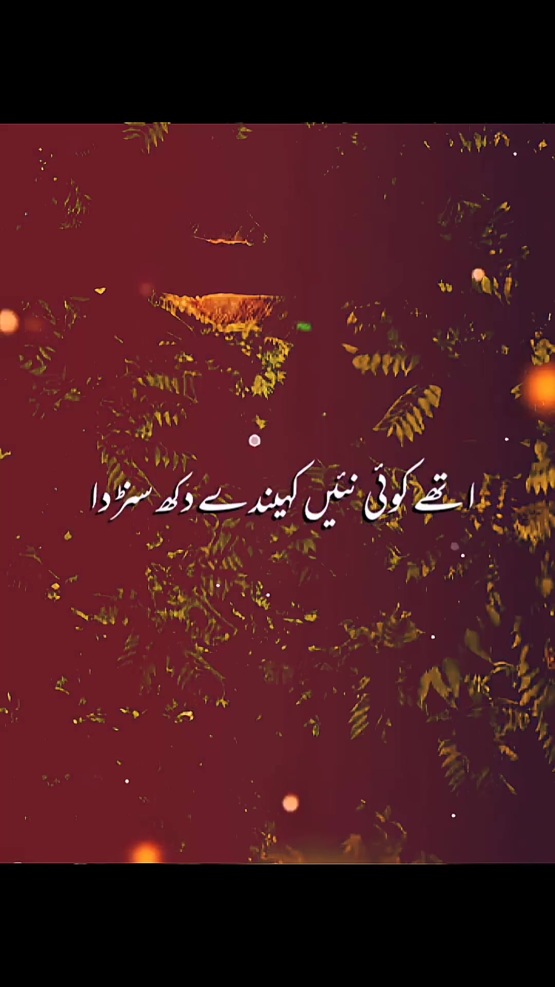 @pardesii🇵🇰🇦🇪