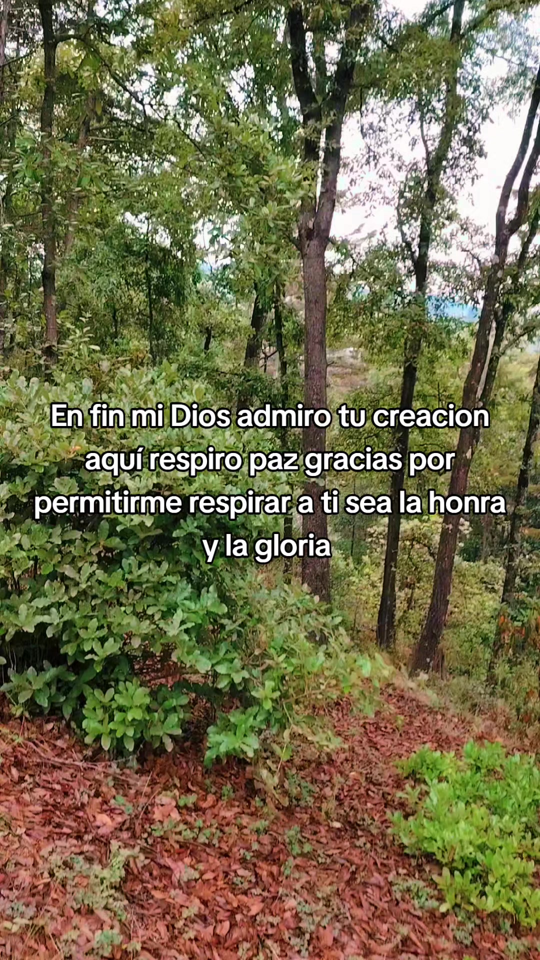 @🇬🇹🇺🇸EDs1 502🇬🇹🇺🇸