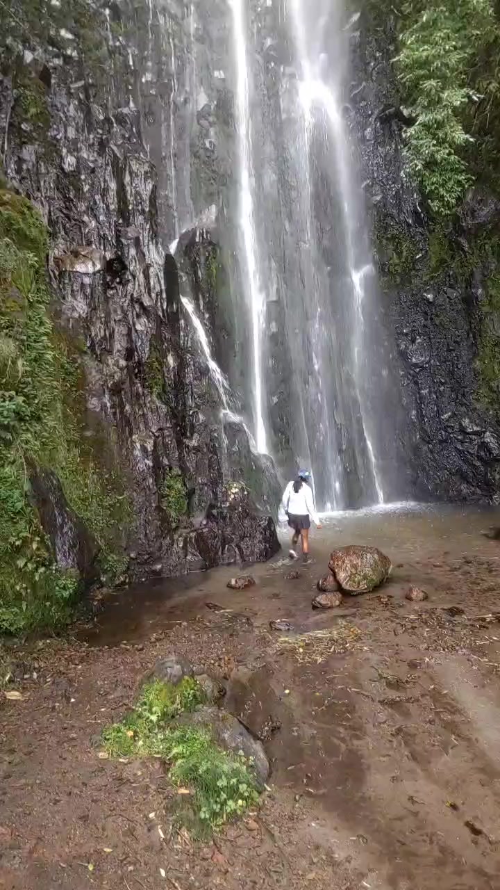 @Blanca Llumiquinga