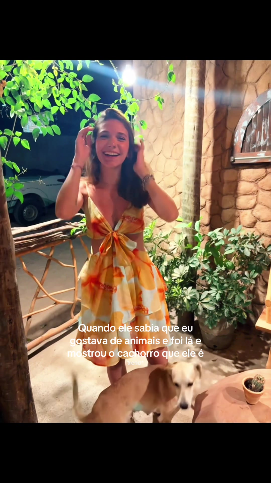 @analuu