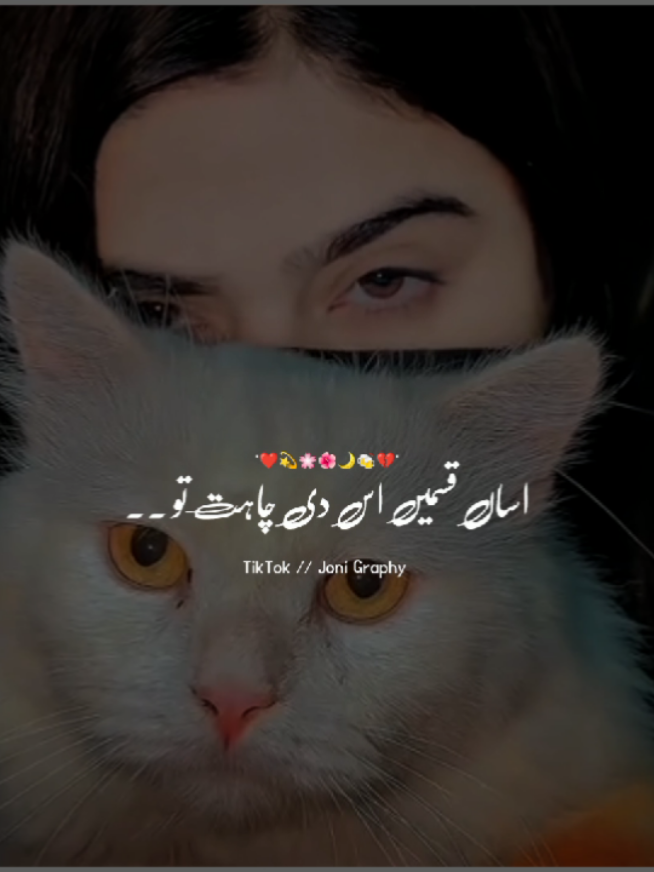 @°جونـــــی٘𓇢𓆸