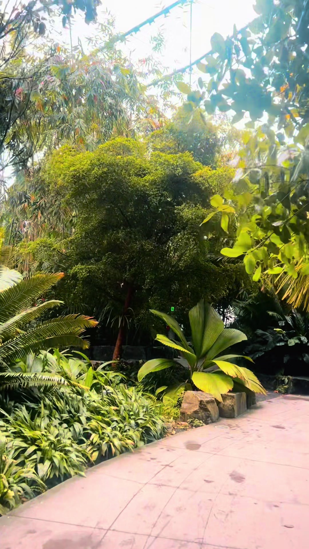 @The Maanii Anwatin Experience