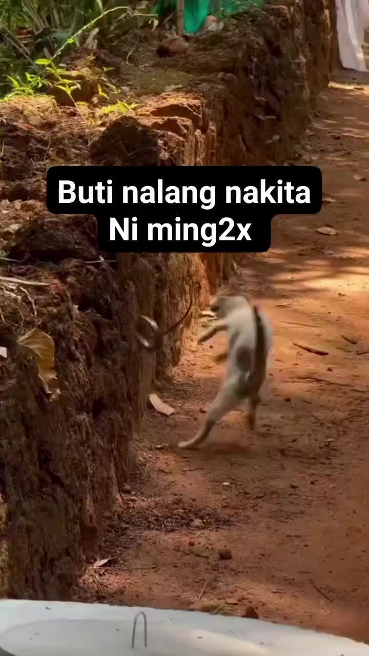 @KUYA DWIEN TV
