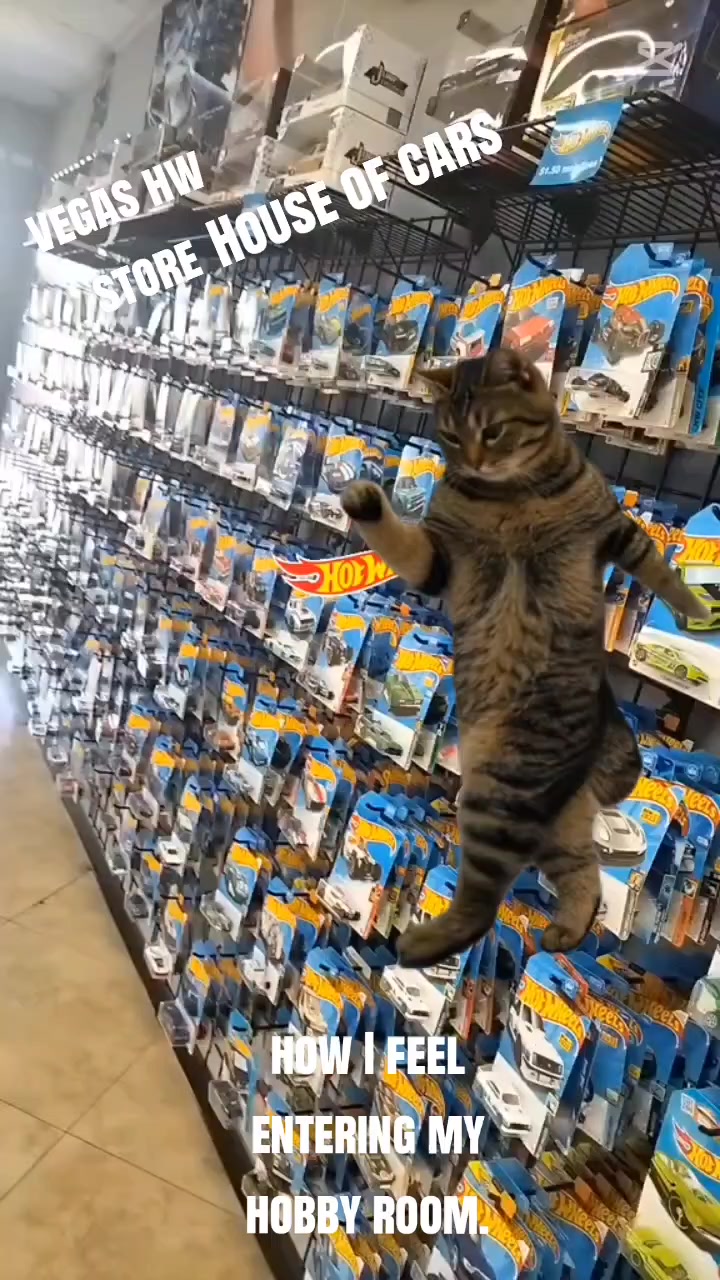 @paranoidhotwheels