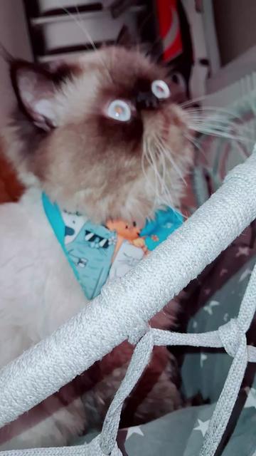 @🇹🇷😻PABLO🇹🇷😻
