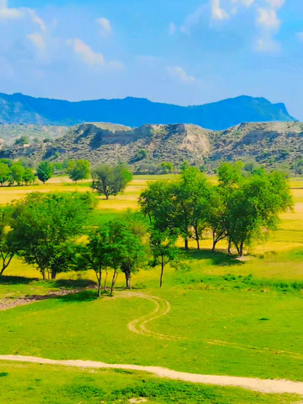 @Gulbazkhan
