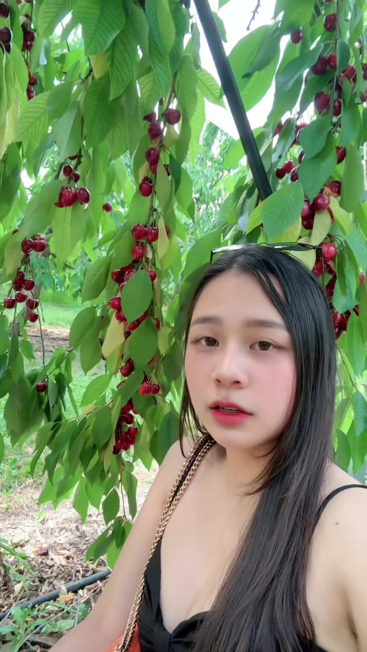 @Huỳnh Như