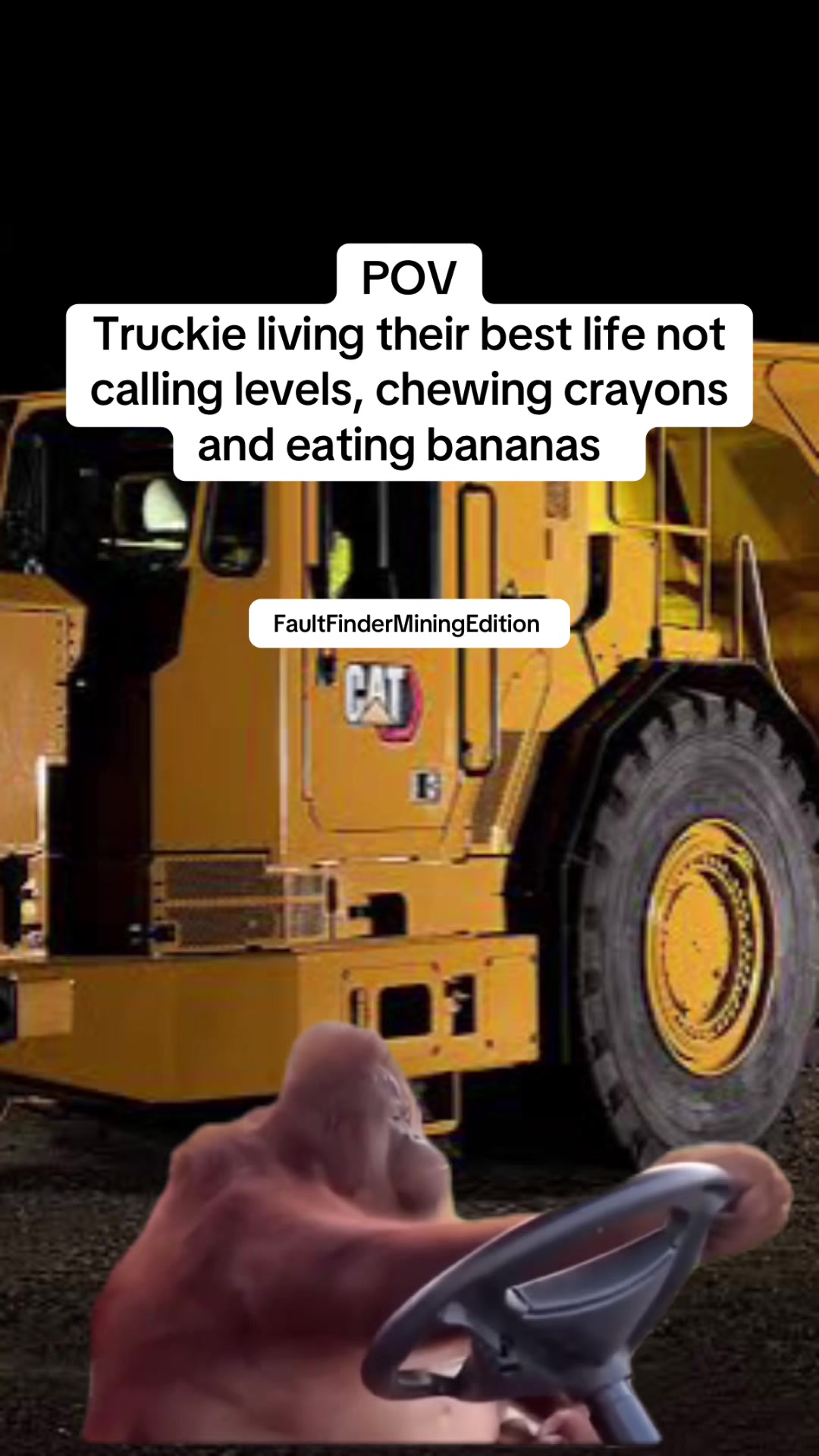 @faultfinder