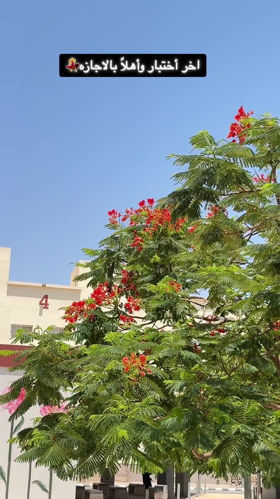 @أمواج المطيري 💙.