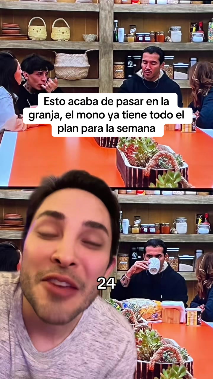 @MAKITO MAKITO🐱