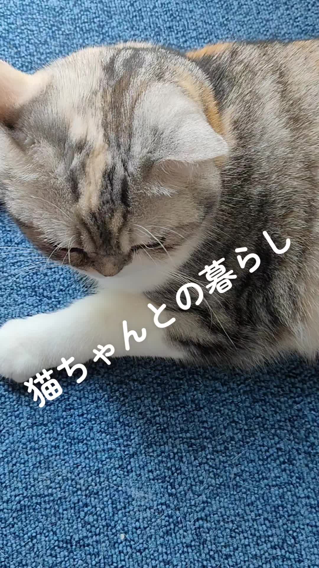 @くるくる8