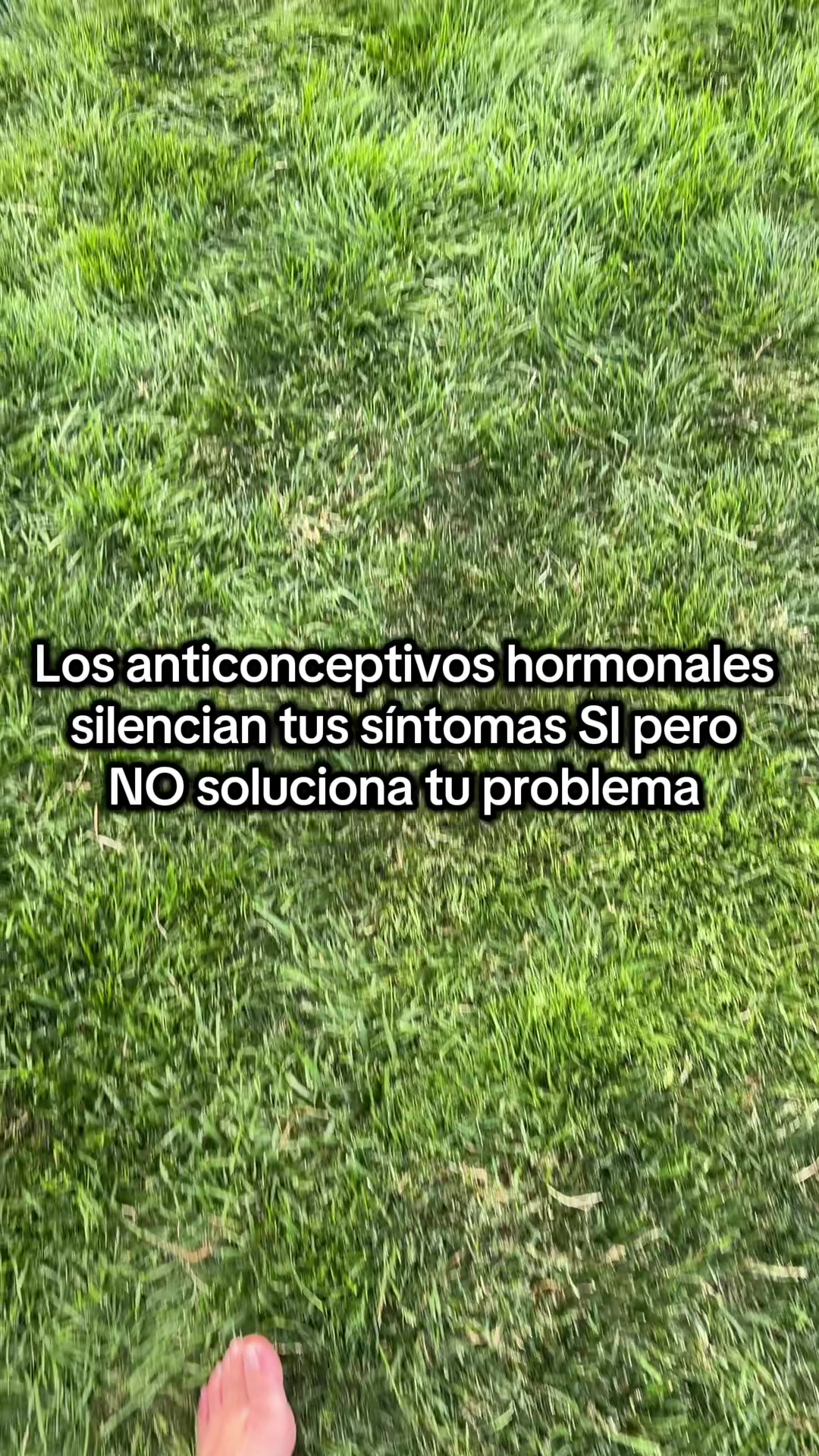 @Feriel Contreras Nutricionista