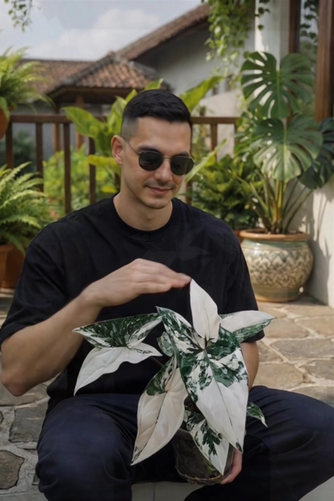 @koleksi.tanaman.hias