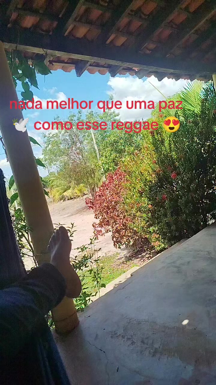 @Rosa De Sá