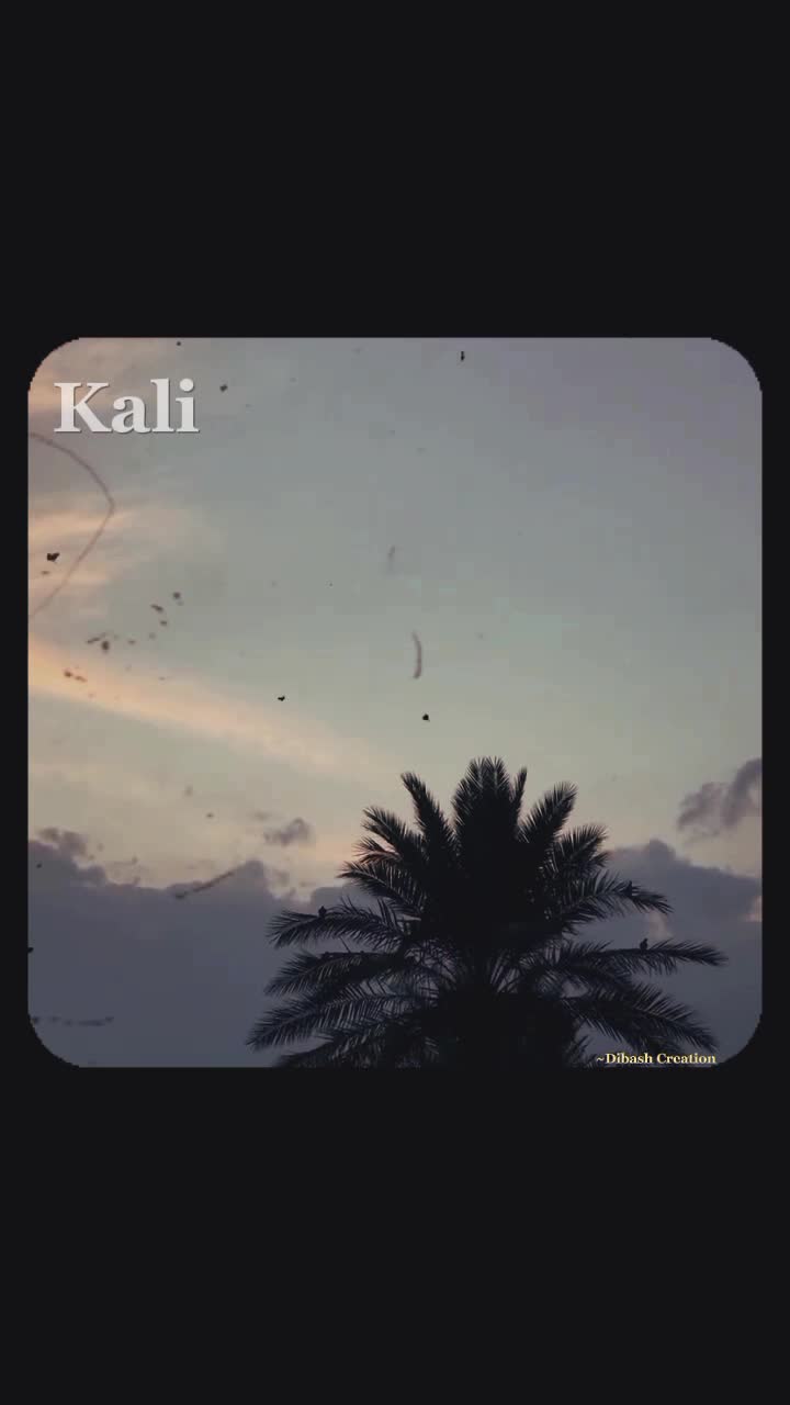 @𝒜𝐻𝑀𝐸🌸