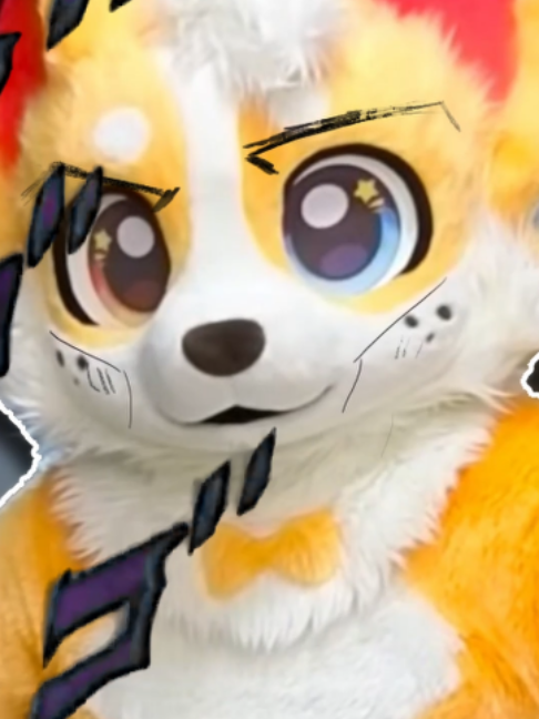 @Corgi