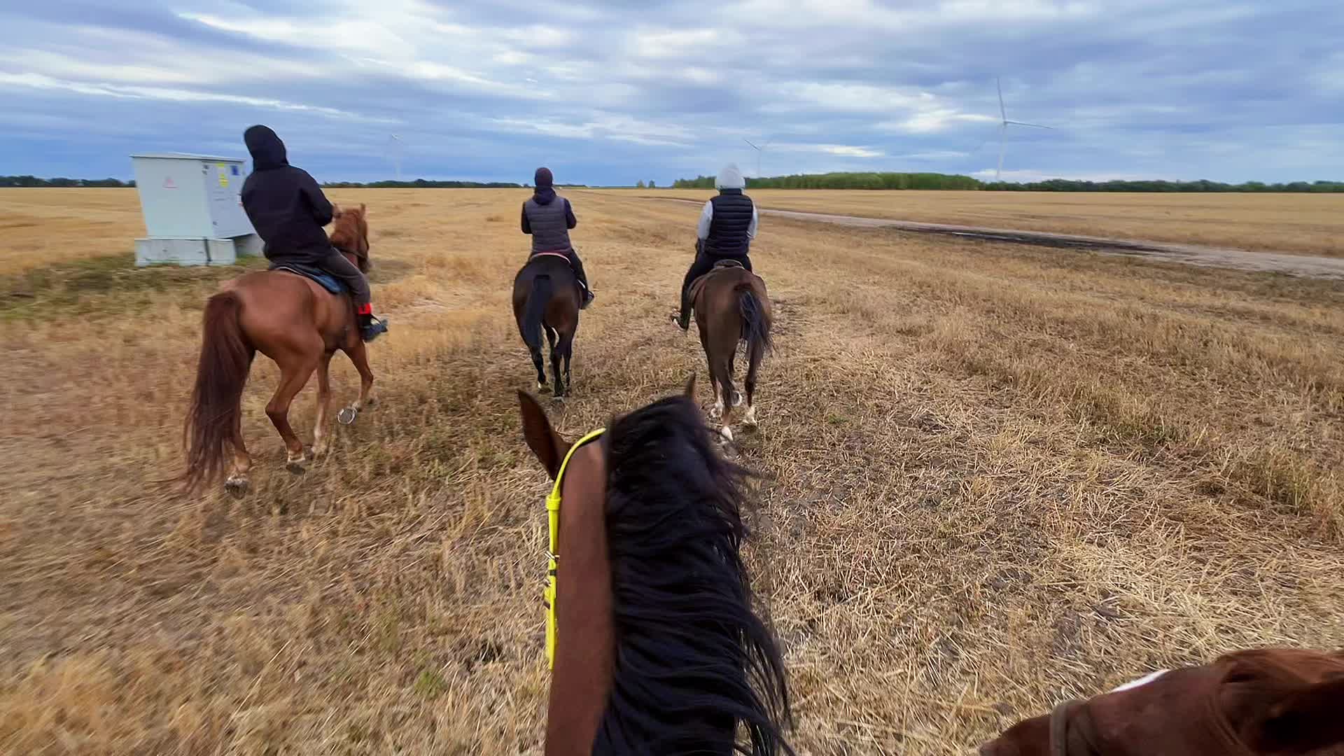 @🐎❤️