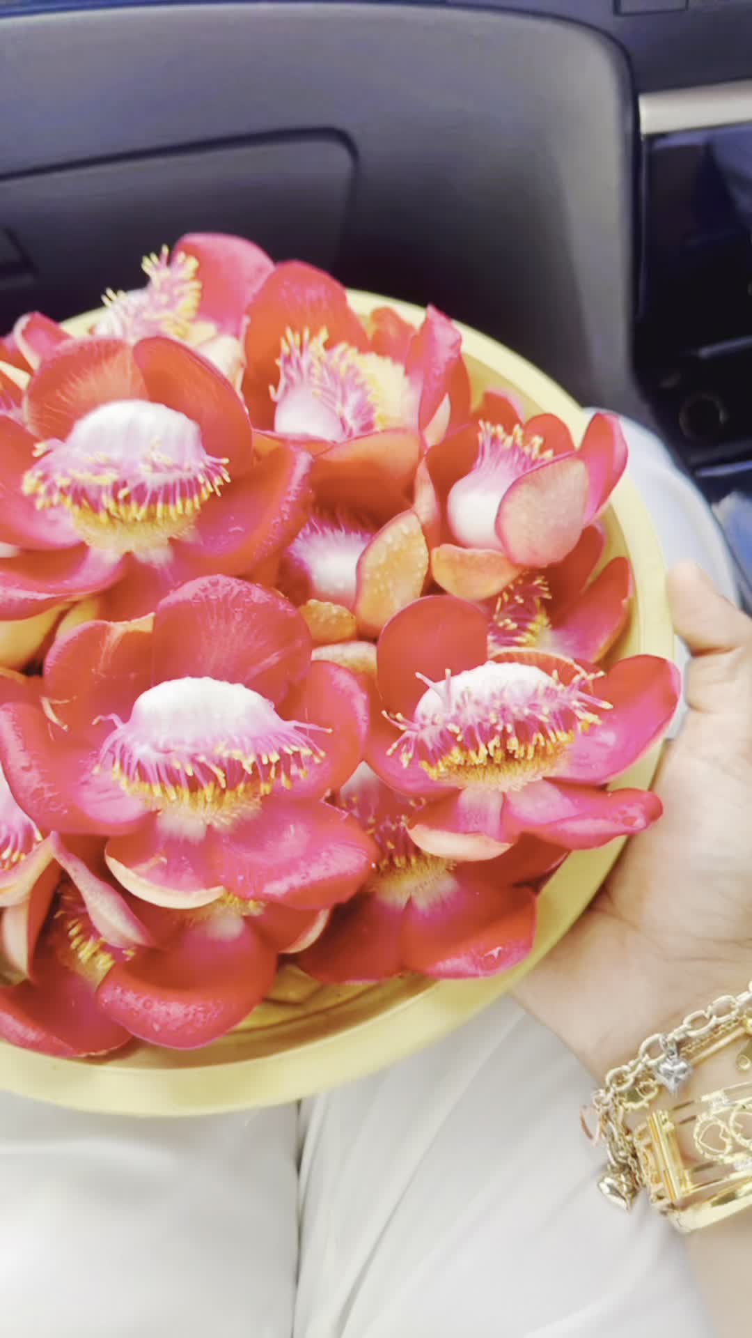 @sajinisxoviour7