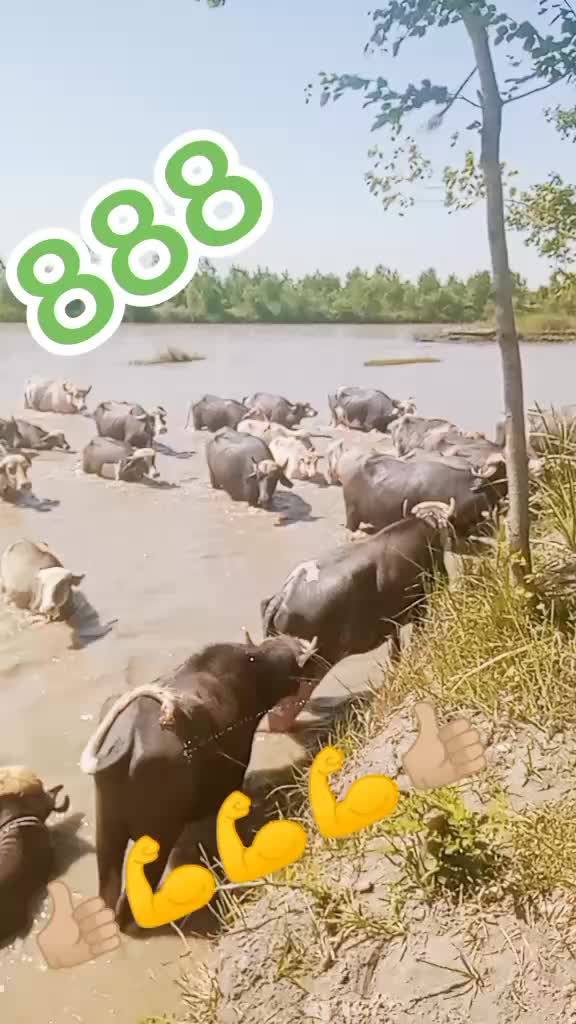 @Umarjan