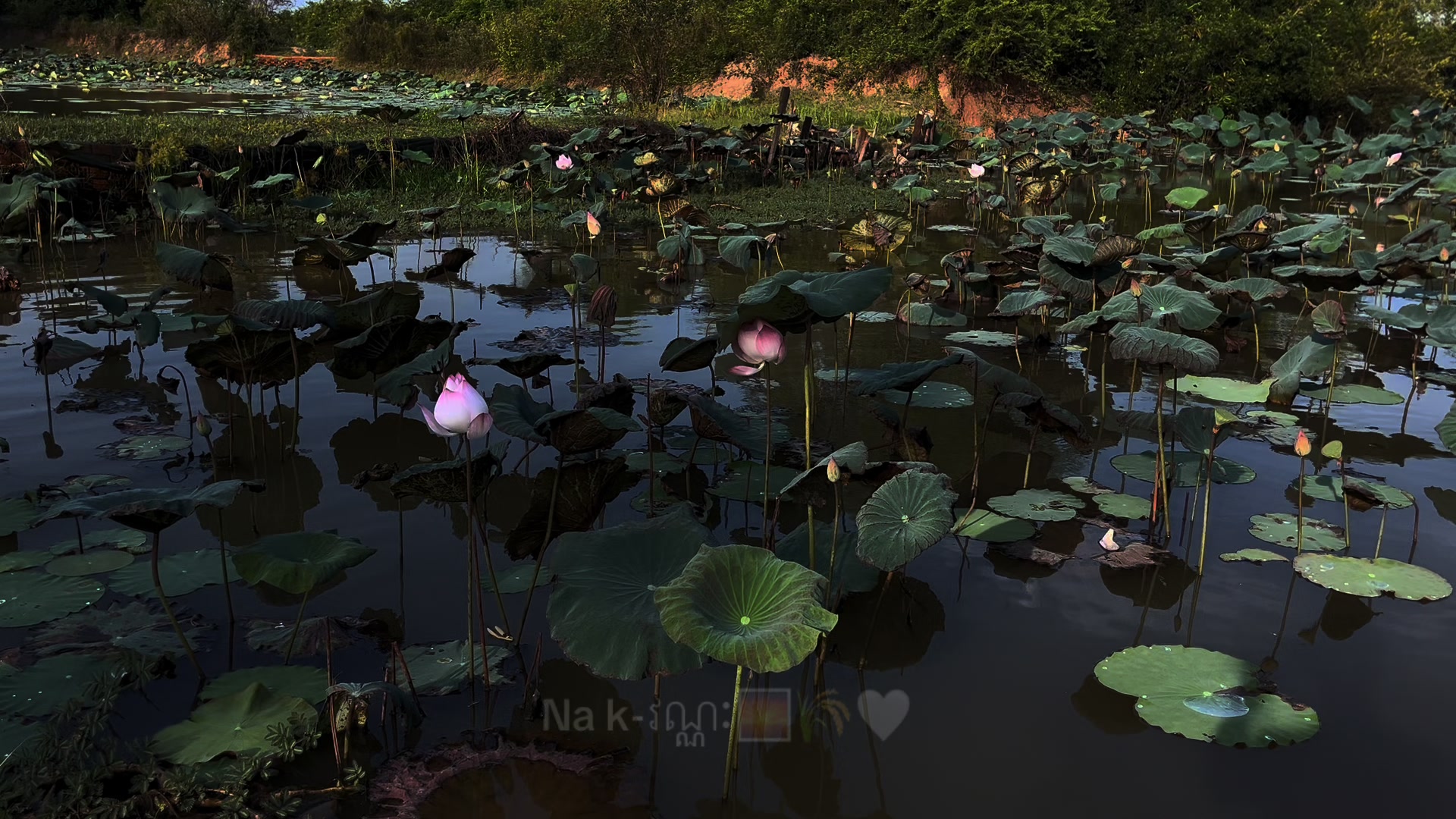 @Na k-វណ្ណៈ