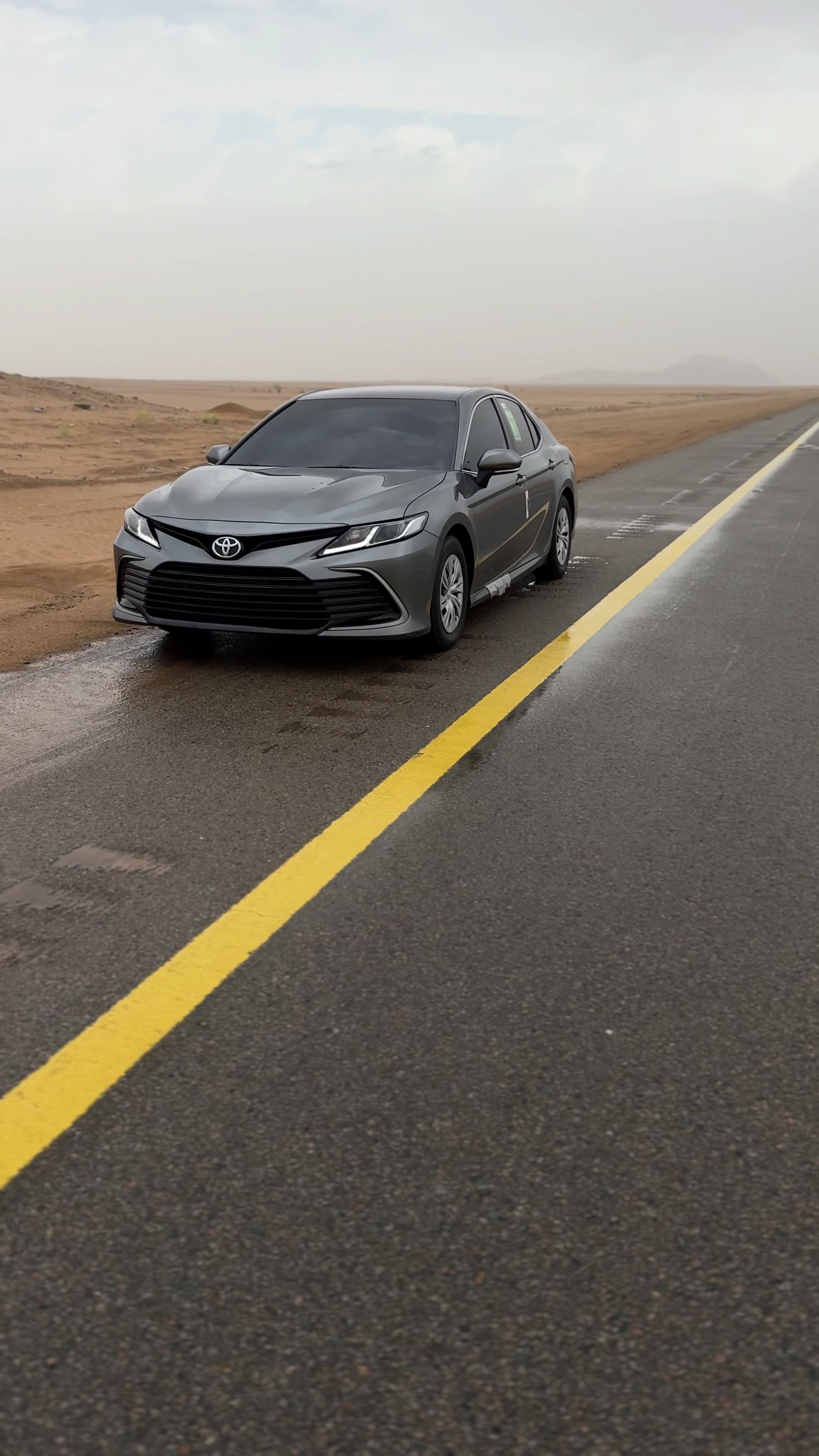 @مشمش 🌪️.