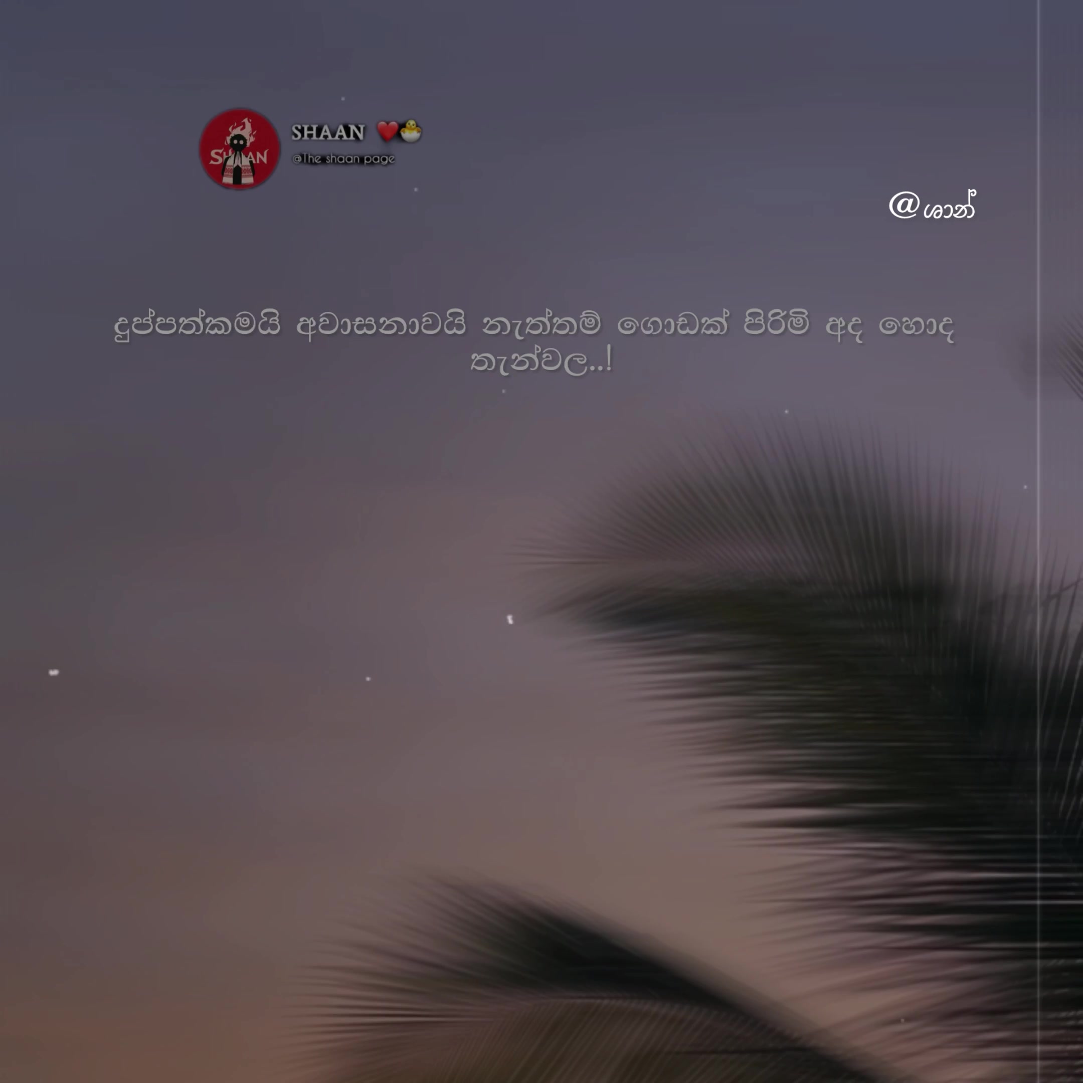 @๐ป๐๐_๐บ๐๐๐๐ ๐"