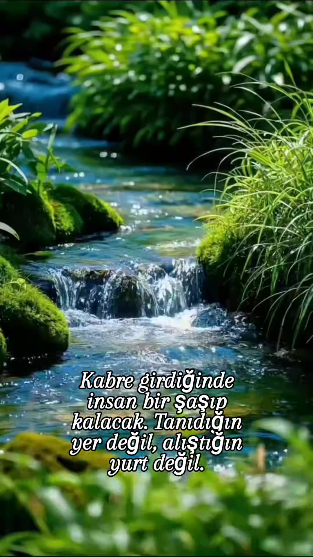 @hayat nereye gidiyor