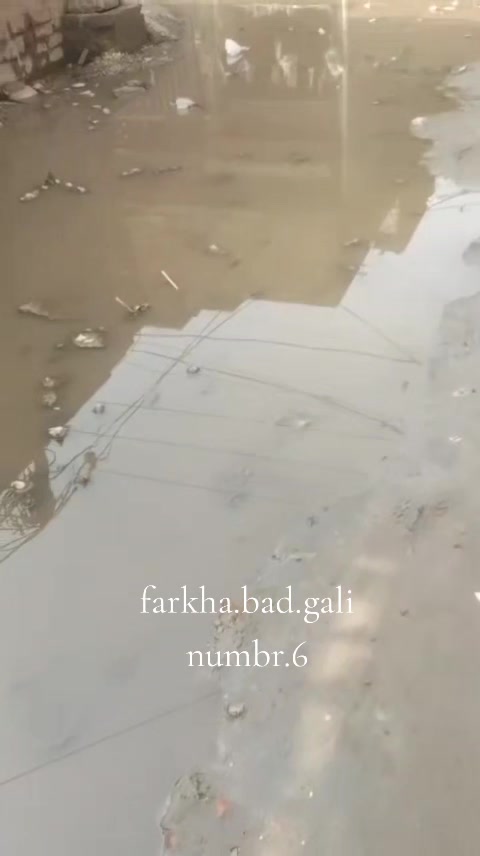@saifkamboh120