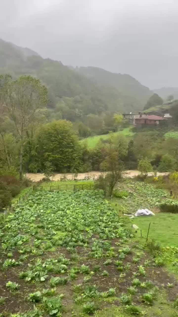 @ertan Şahin