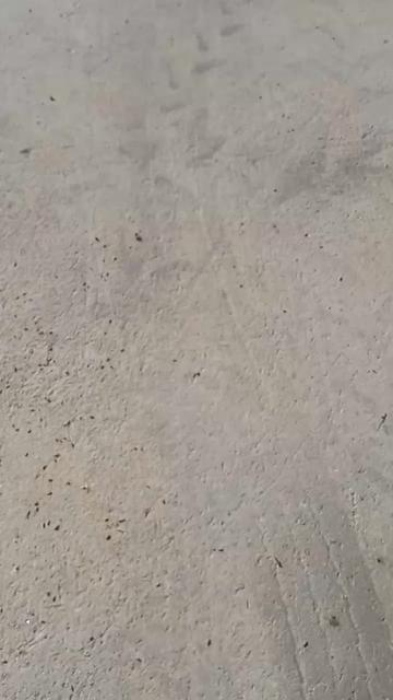 @ÇILGIN KAMYONCU