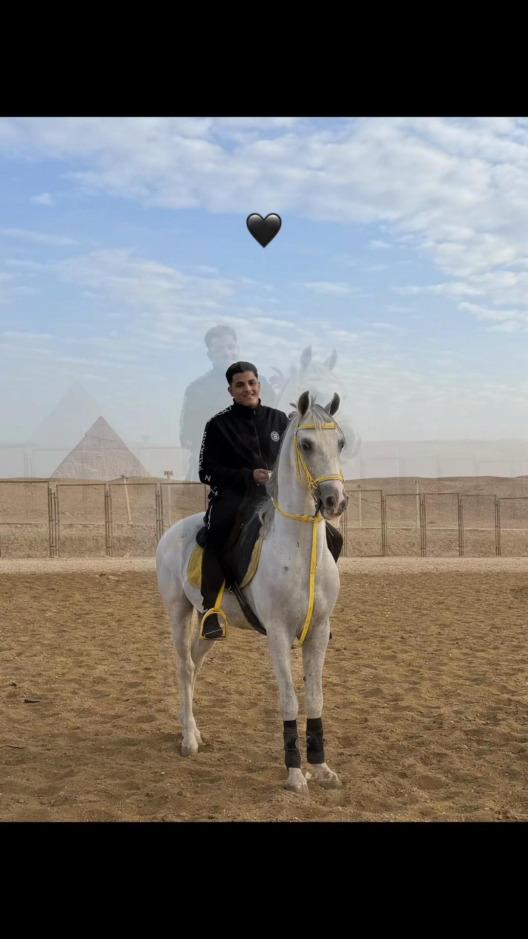 @3𝓵𝓸𝓼𝓱