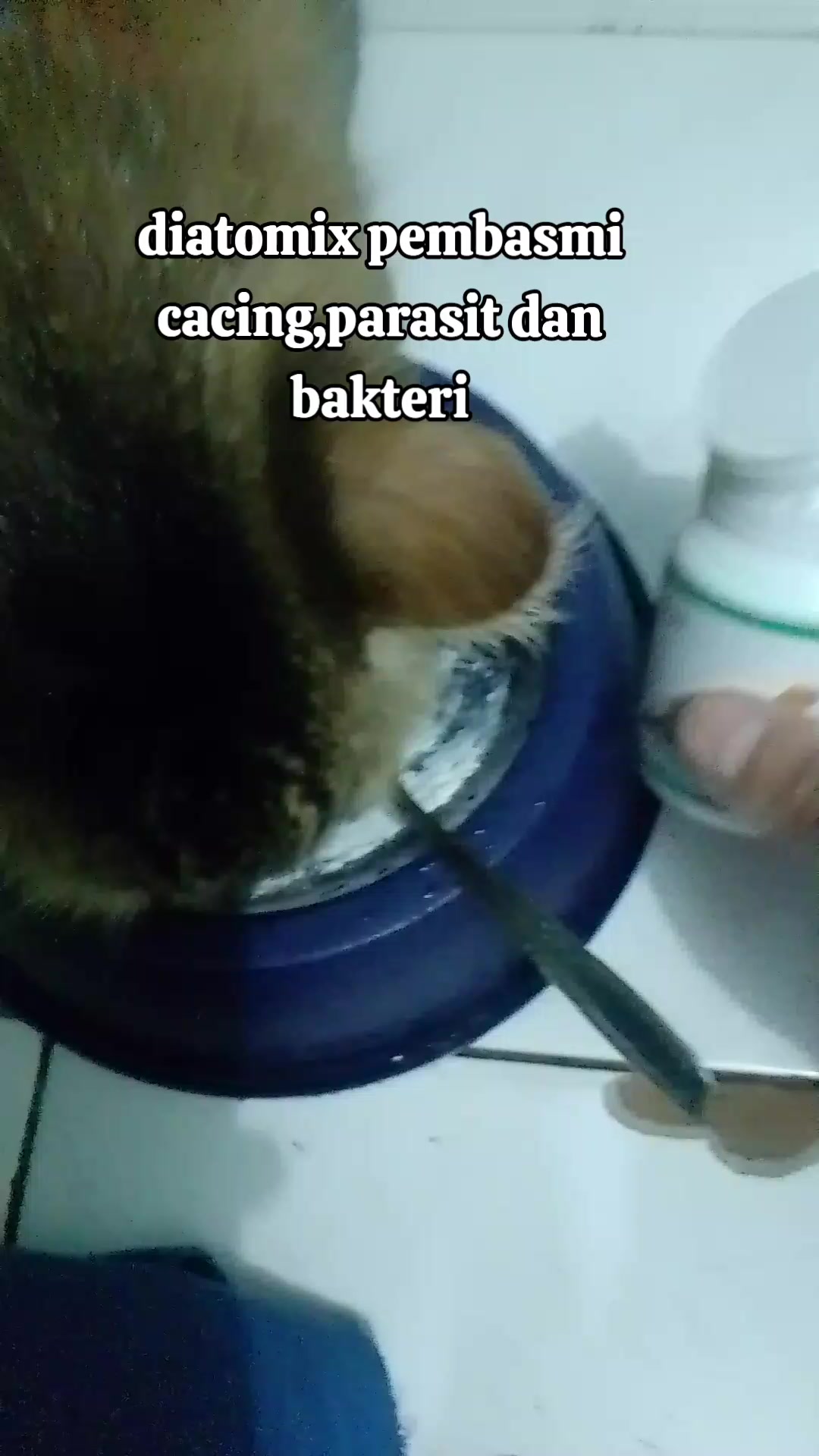 @binong2616