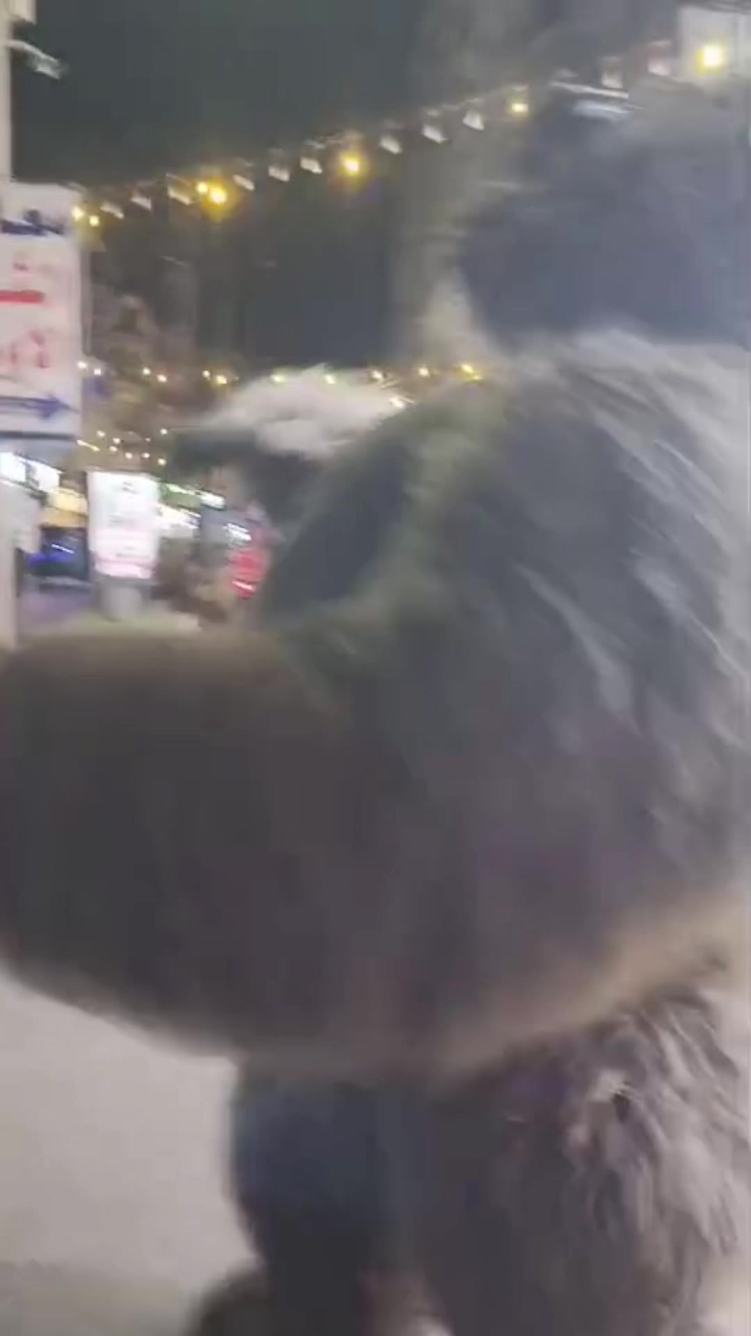 @بودا بتاع غوريلا🦍🔥